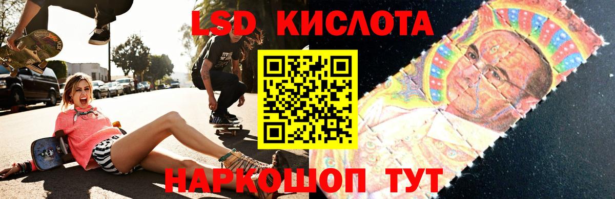 МЕФ Саратов