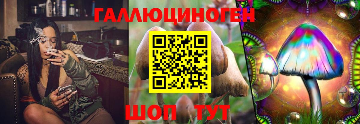 Галлюциногенные грибы мухоморы Саратов
